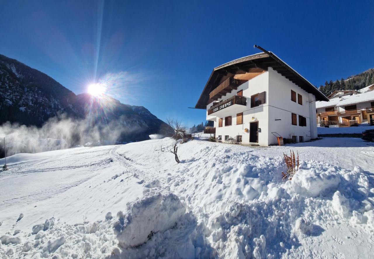 Cesa Cherpei - Dog Friendly Campitello di Fassa Buitenkant foto