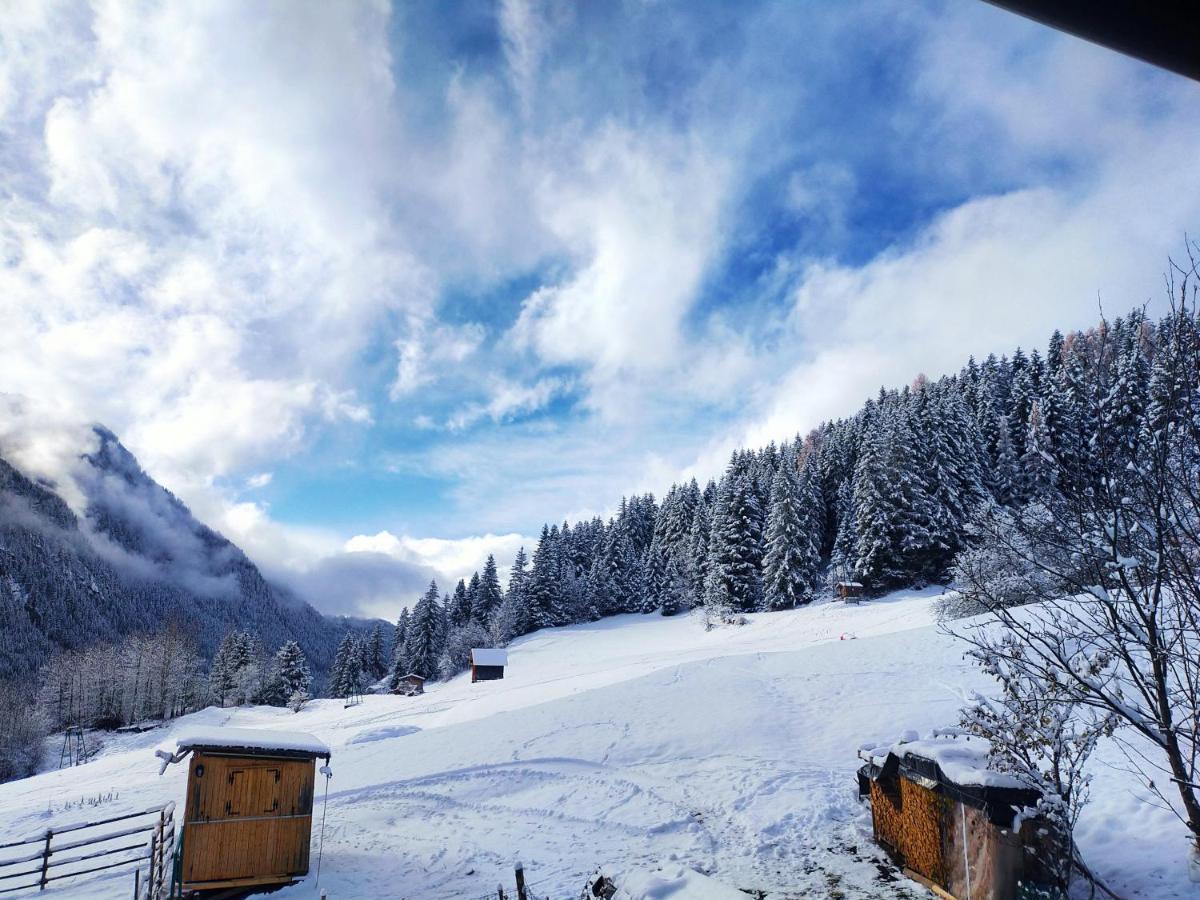 Cesa Cherpei - Dog Friendly Campitello di Fassa Buitenkant foto