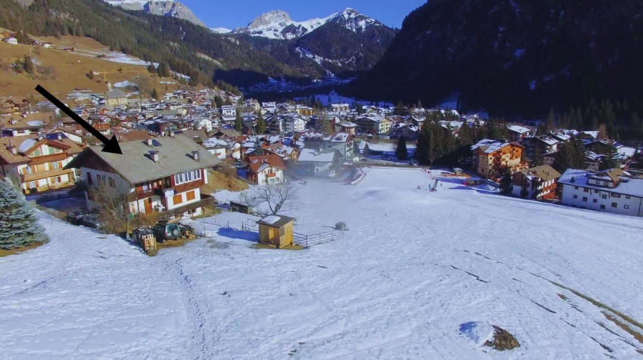 Cesa Cherpei - Dog Friendly Campitello di Fassa Buitenkant foto