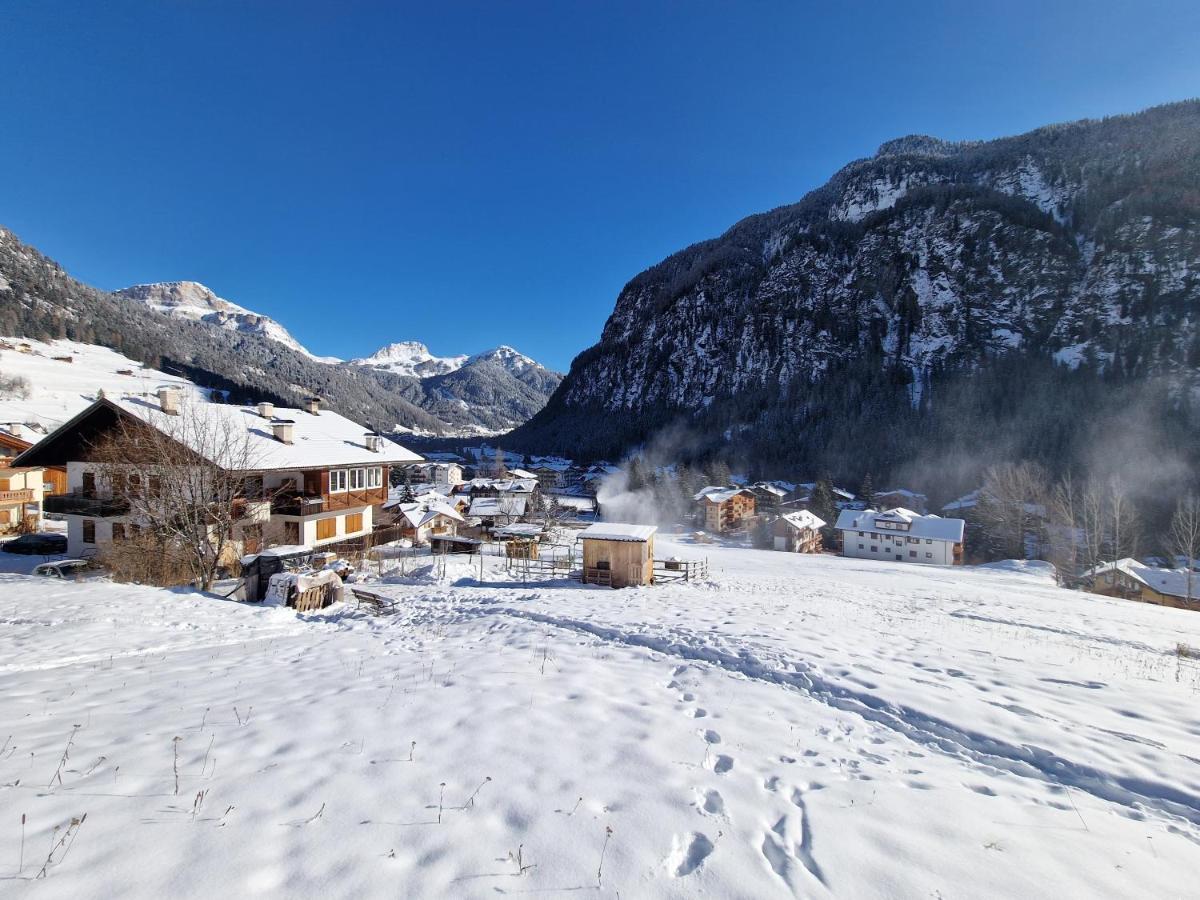 Cesa Cherpei - Dog Friendly Campitello di Fassa Buitenkant foto