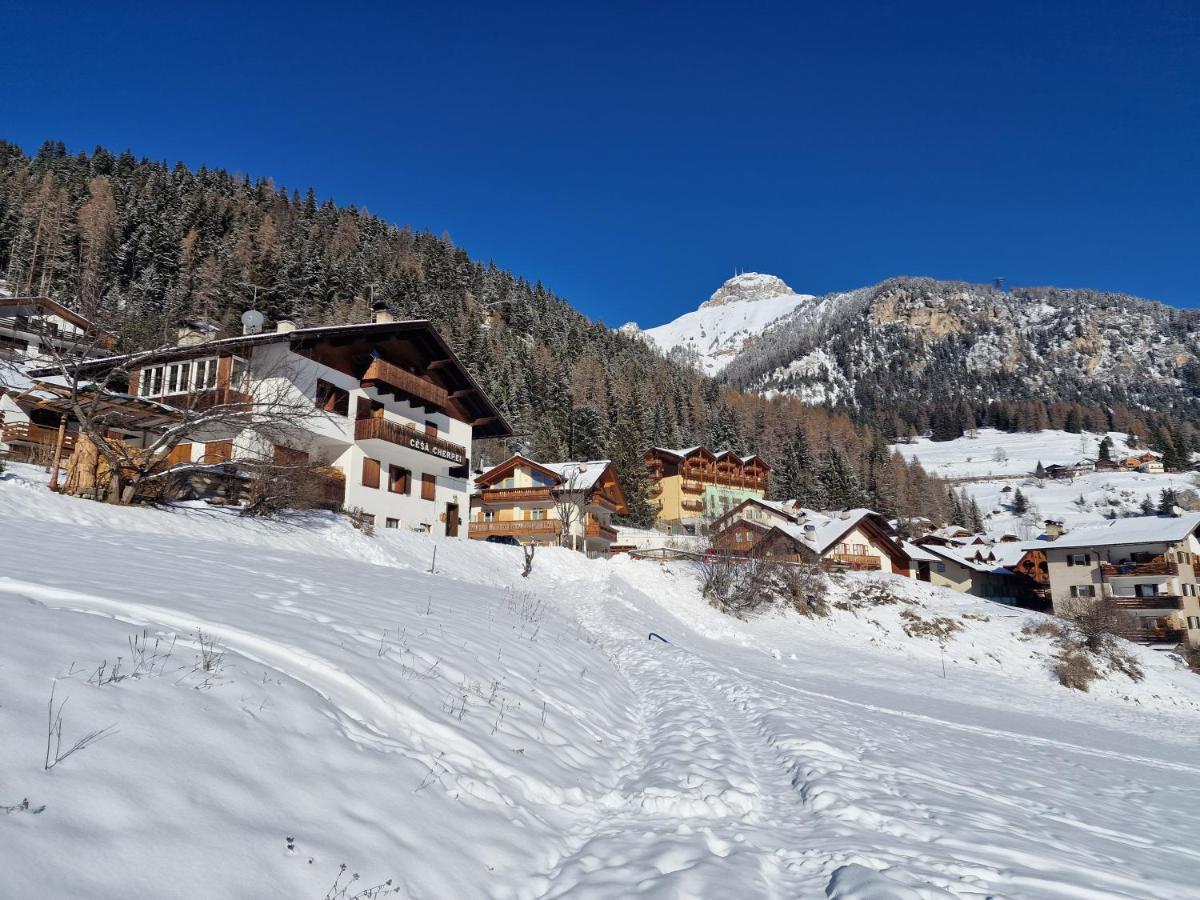 Cesa Cherpei - Dog Friendly Campitello di Fassa Buitenkant foto