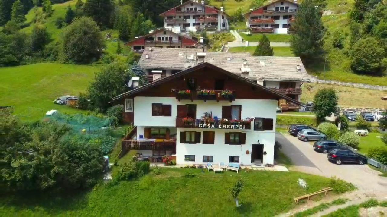 Cesa Cherpei - Dog Friendly Campitello di Fassa Buitenkant foto