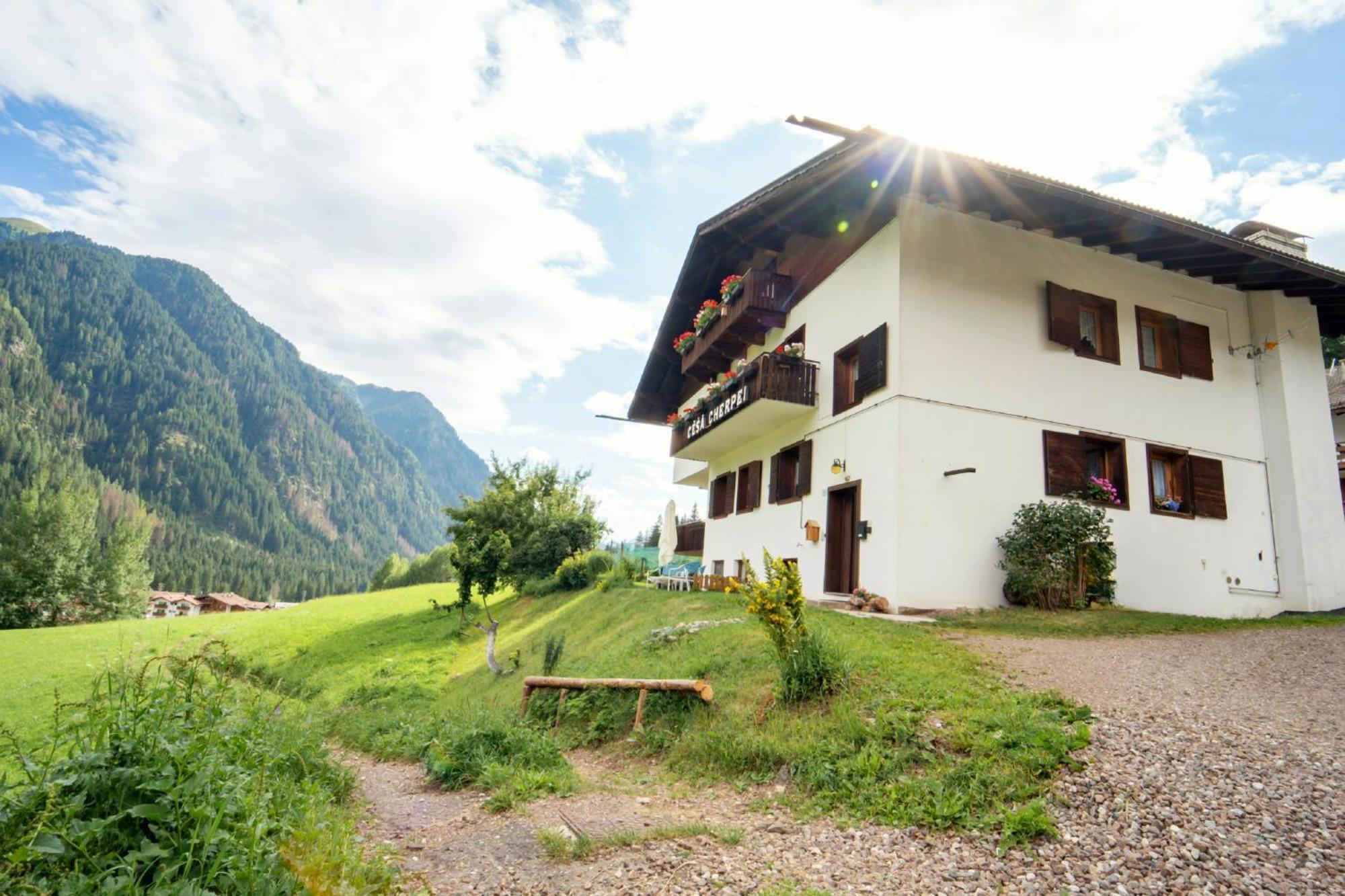 Cesa Cherpei - Dog Friendly Campitello di Fassa Buitenkant foto