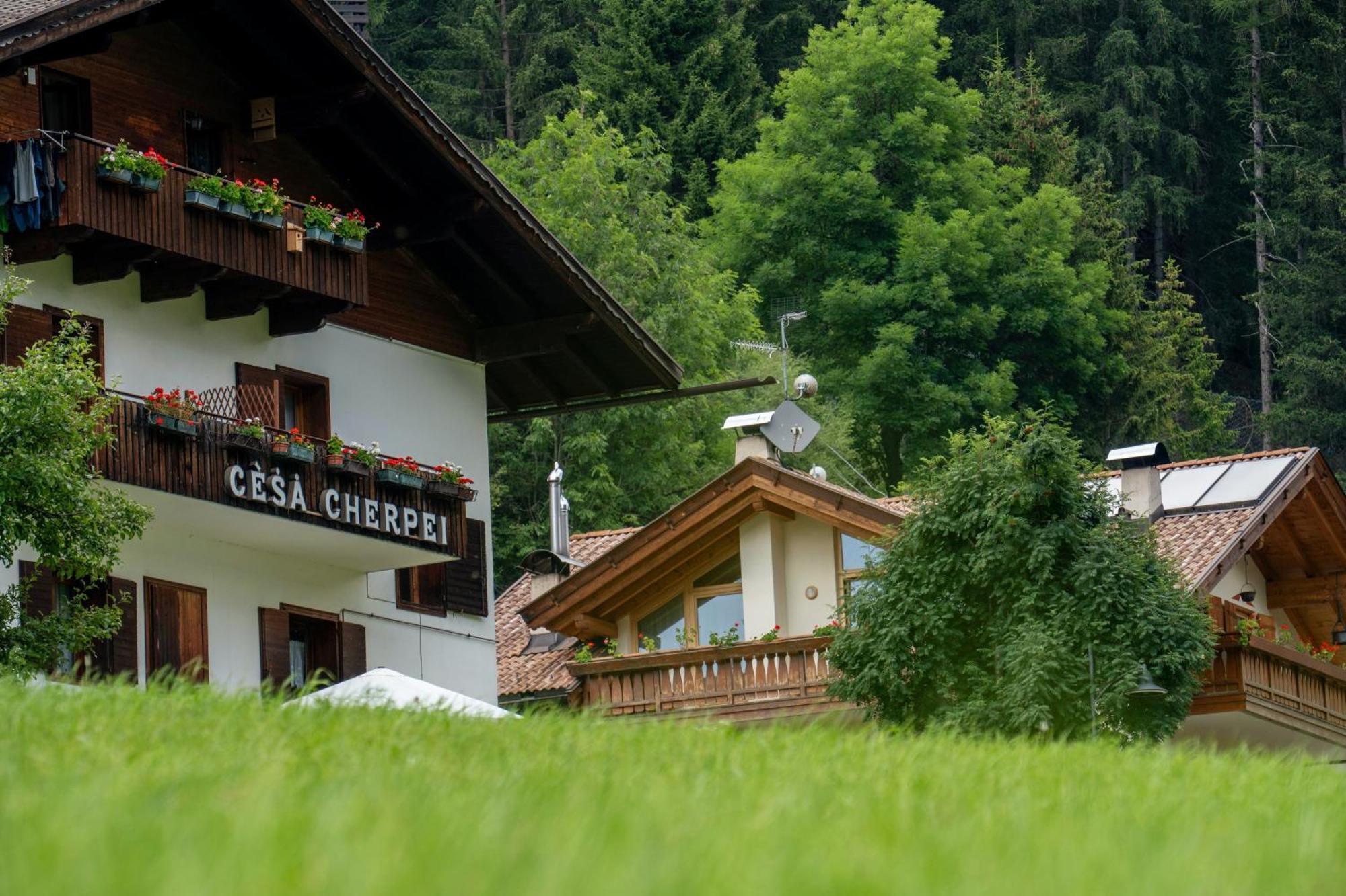 Cesa Cherpei - Dog Friendly Campitello di Fassa Buitenkant foto