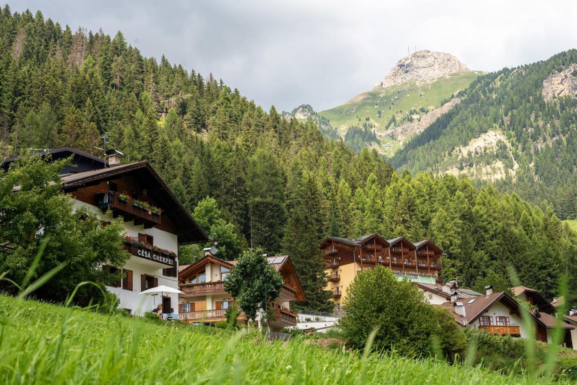 Cesa Cherpei - Dog Friendly Campitello di Fassa Buitenkant foto